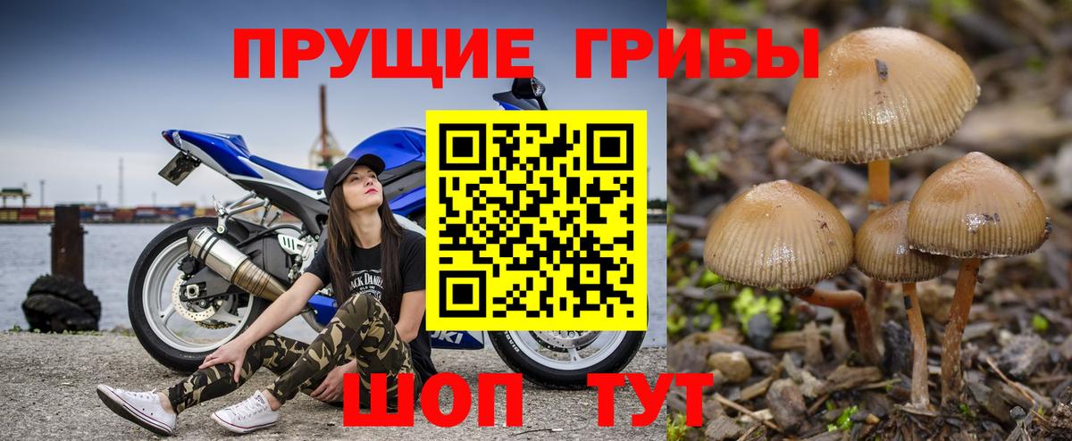 Псилоцибиновые грибы Magic Shrooms  Вход с VPN  Архангельск 