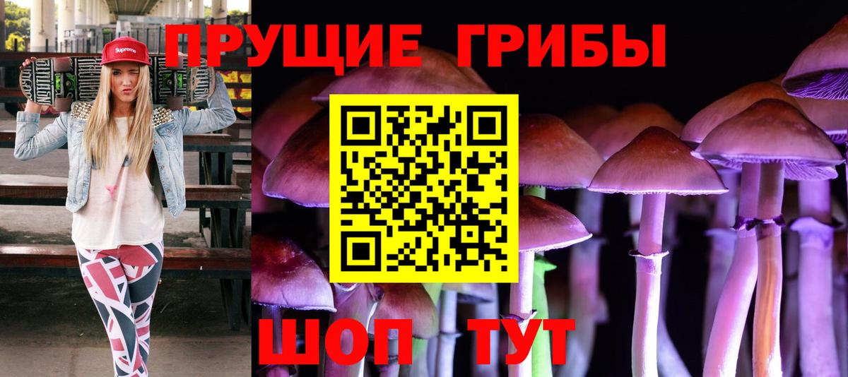 Псилоцибиновые грибы Cubensis Архангельск